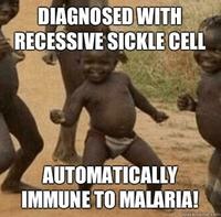 Third World Success