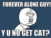 "Y U NO" Guy