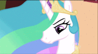 Pony Reactions