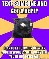 Anxiety Cat