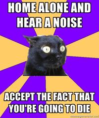 Anxiety Cat