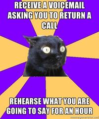 Anxiety Cat