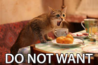 Do Want / Do Not Want
