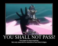 You Shall Not Pass!!!