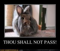 You Shall Not Pass!!!