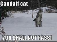 You Shall Not Pass!!!