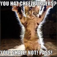 You Shall Not Pass!!!