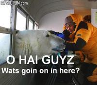 Hey Guys What's Going On This Thread?