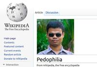 2010 Wikipedia Fundraising Campaign