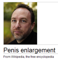 Wikipedia Donation Banner Captions