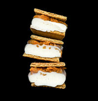 Scanwiches