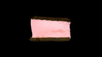 Scanwiches