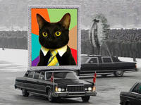 Business Cat