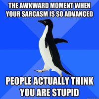 Socially Awkward Penguin