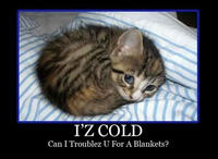 LOLcats