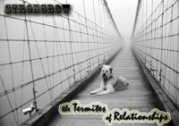 Make Your Own Album Cover