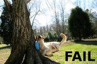 FAIL