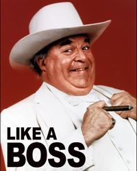Like A Boss