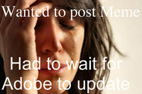First World Problems