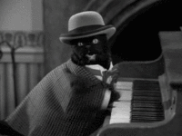Cats