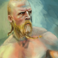 Technoviking