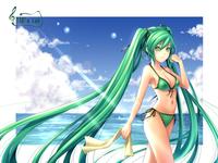 Miku Hatsune / Vocaloid