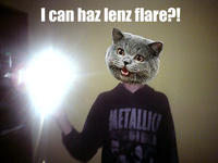 Need Moar Lens Flare