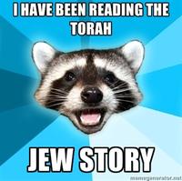 Lame Pun Coon