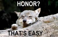 Ignorant to Adversity wolf
