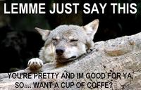 Ignorant to Adversity wolf