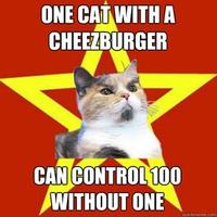 Lenin Cat