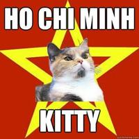 Lenin Cat