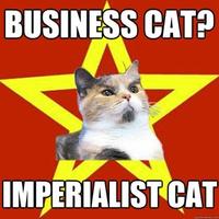 Lenin Cat