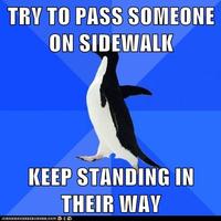 Socially Awkward Penguin