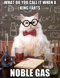 Chemistry Cat
