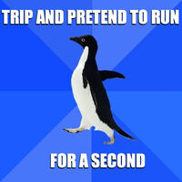 Socially Awkward Penguin