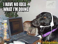 I Have No Idea What I'm Doing