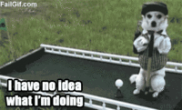 I Have No Idea What I'm Doing