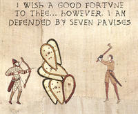 Medieval Macros - Bayeux Tapestry