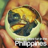 It's More Fun in the Philippines