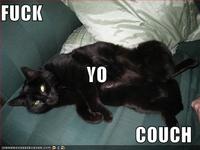 Fuck Yo Couch