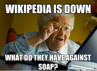 Day Without Wikipedia