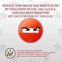 Protect IP Act / Stop Online Piracy Act