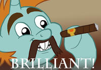 Pony Reactions