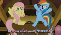 My Little Pony: Friendship is Magic