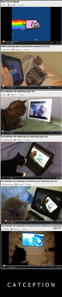Inception