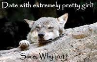 Ignorant to Adversity wolf