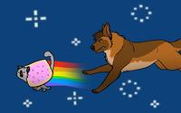 Nyan Cat / Pop Tart Cat