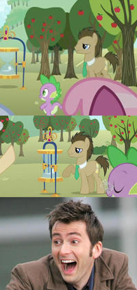 Doctor Whooves / Time Turner