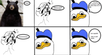 Dolan